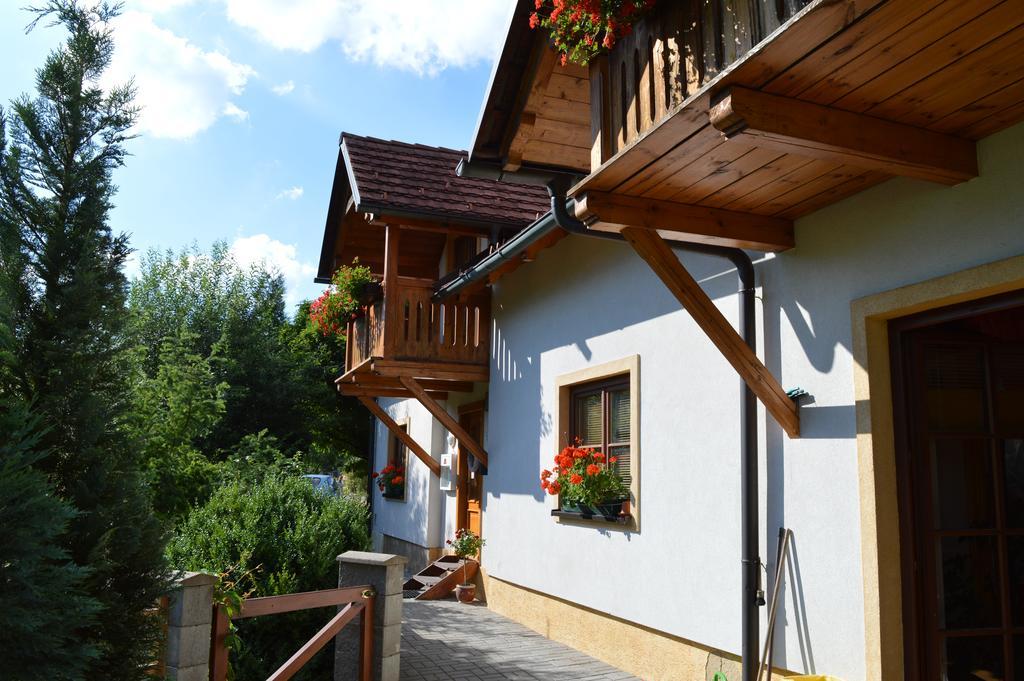 Pension Druhy Domov Nový Bor Екстериор снимка